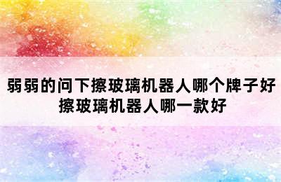 弱弱的问下擦玻璃机器人哪个牌子好 擦玻璃机器人哪一款好